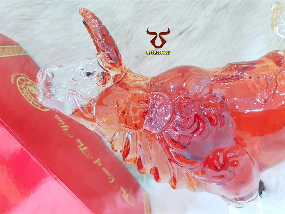 Rượu con Trâu thủy tinh - đồng tiền